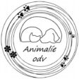 www.animalie.org